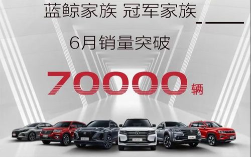 长安汽车6月销量破19万 自主发力,合资回暖